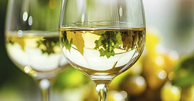 Parliamo “Di-Vino” alla Scoperta dei Vini Bianchi Laziali