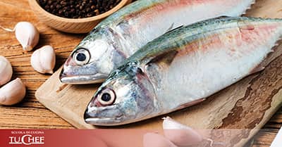 Corso sul pesce scuola TuChef